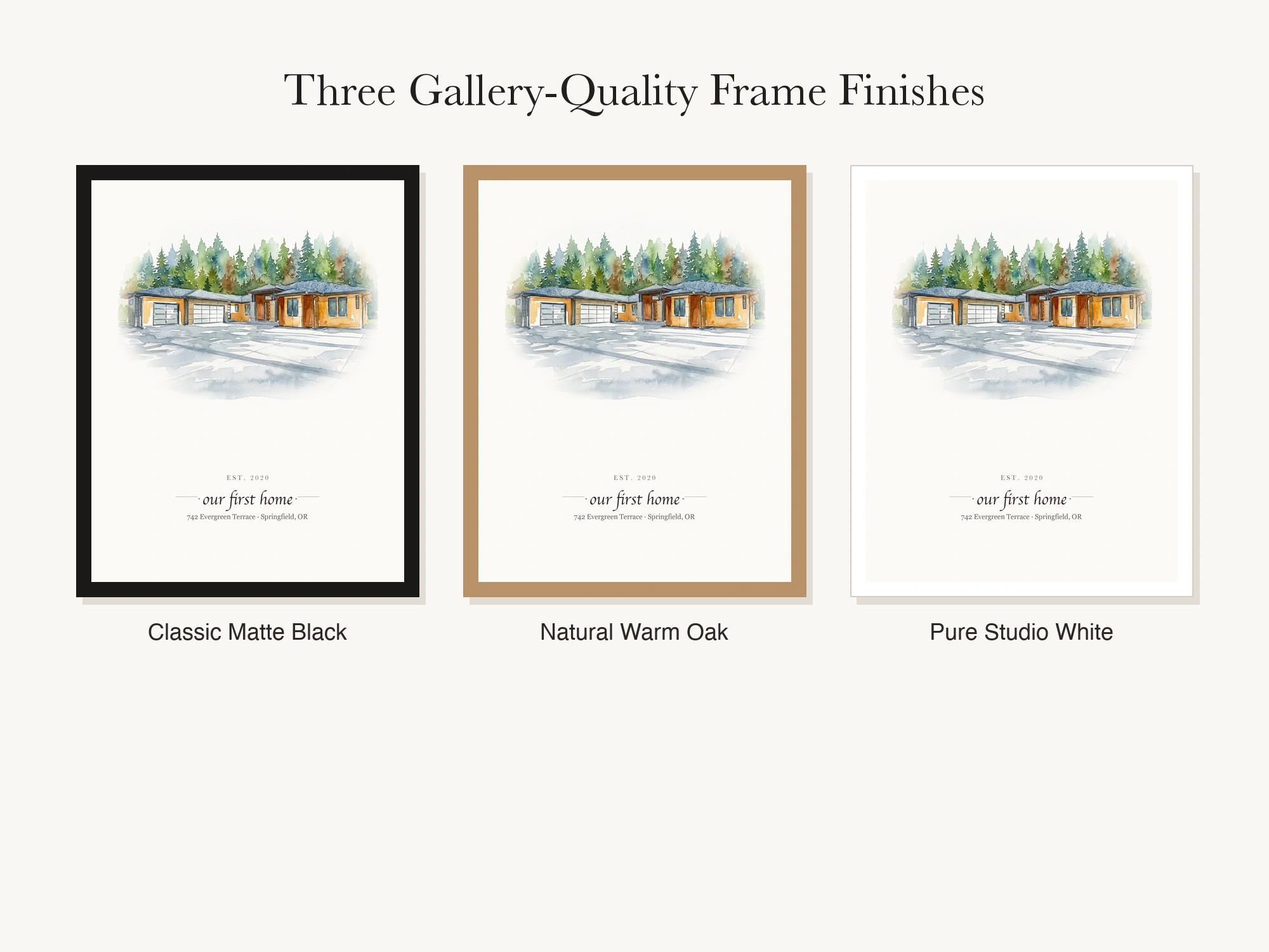 Frame Color Options